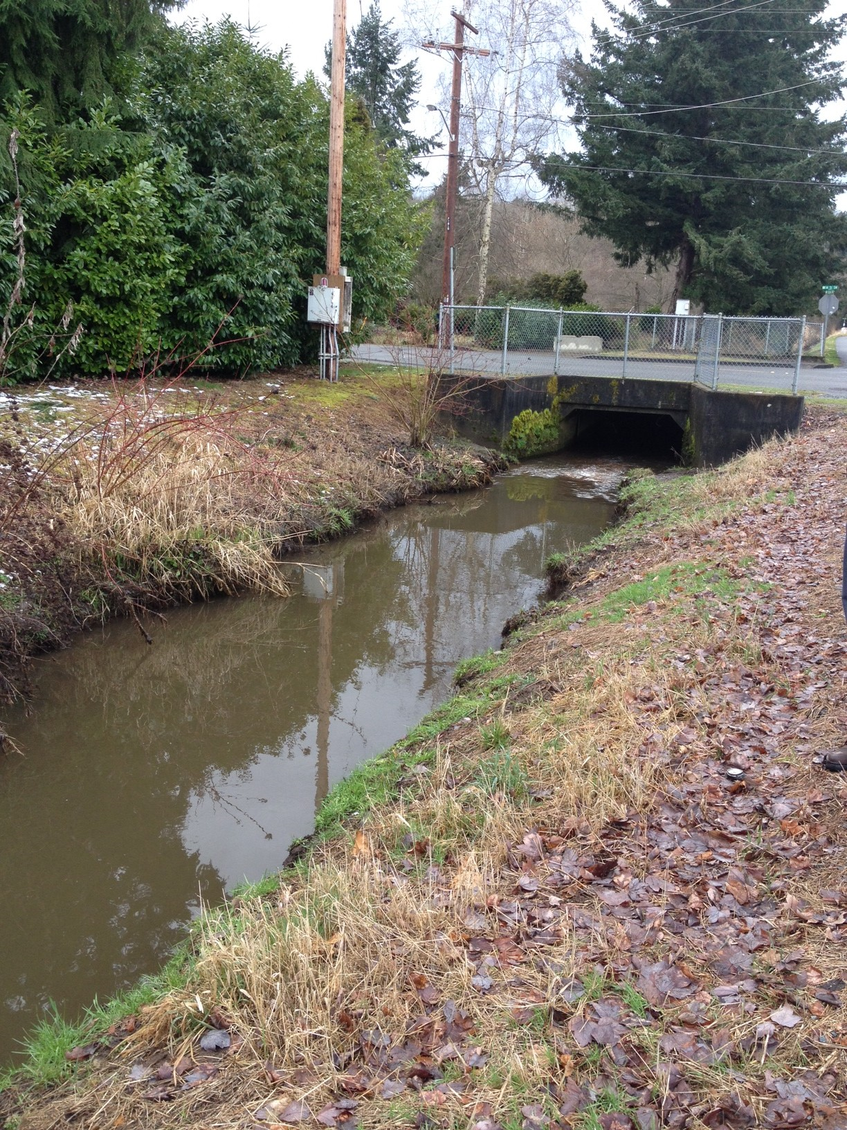 Clarks Creek running through a culvert under a road